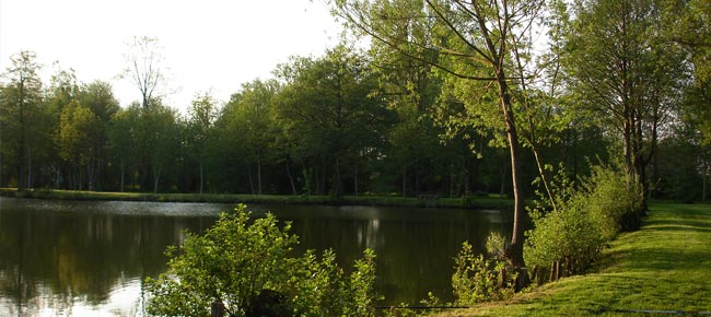 Venez visiter le plan d'eau / l'étang du Vieux Moulin ou venez pêcher des poissons (brochets, sandres, carpes, gardons, etc.) au plan d'eau à Chapelle Royale en Eure et Loir dans le Perche