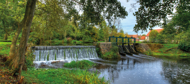 Venez visiter le plan d'eau / l'étang du Vieux Moulin ou venez pêcher des poissons (brochets, sandres, carpes, gardons, etc.) au plan d'eau à Chapelle-Royale en Eure et Loir dans le Perche