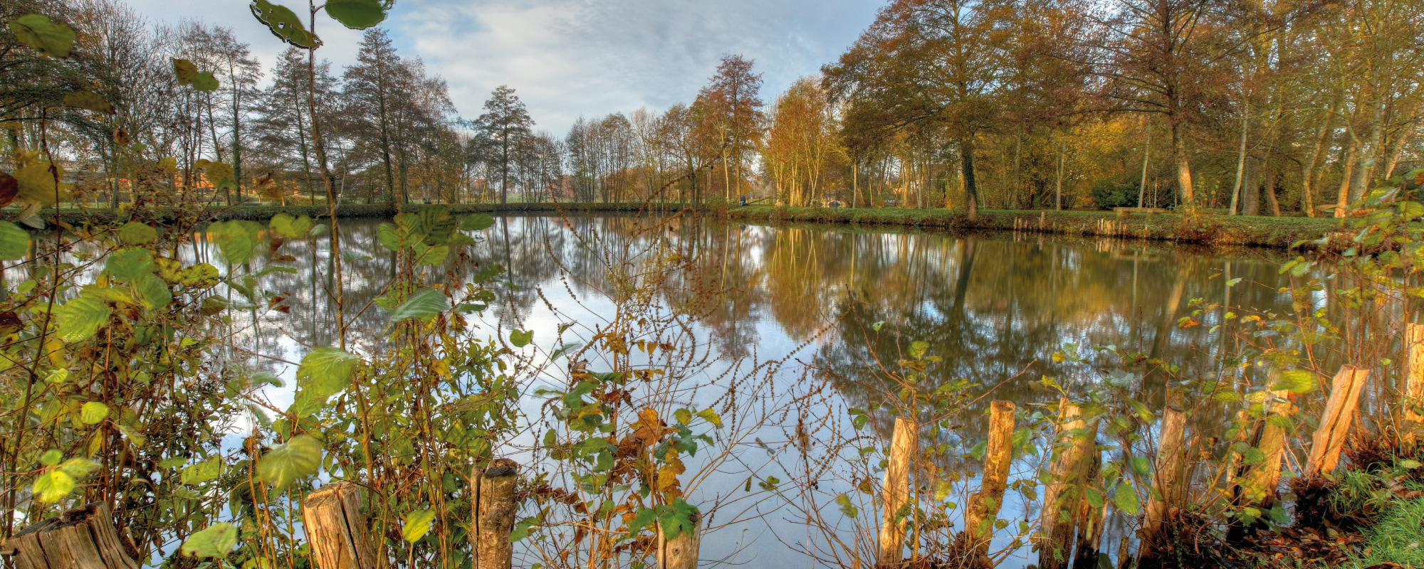 Venez visiter le plan d'eau / l'étang du Vieux Moulin ou venez pêcher des poissons (brochets, sandres, carpes, gardons, etc.) au plan d'eau à Chapelle-Royale en Eure et Loir dans le Perche