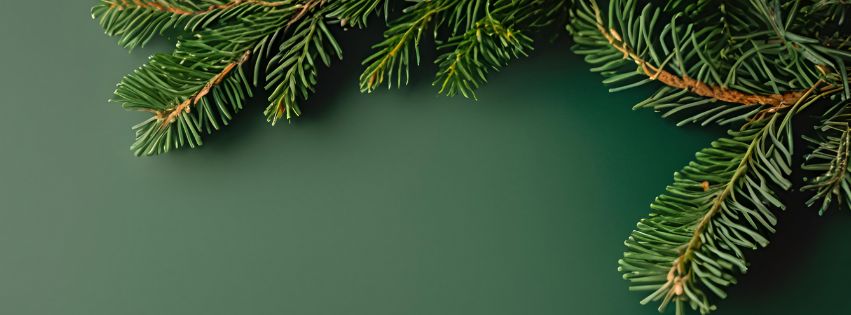 L’association Capel’Anim événementiel lance un appel aux bénévoles